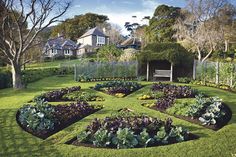 a garden with many different types of plants in the shape of a heart on top of grass