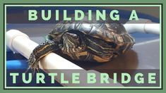 a turtle sitting on top of a pipe with the words building a turtle bridge above it