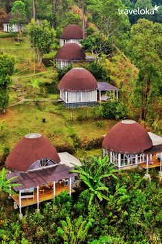 an aerial view of some huts in the jungle with trees and bushes around them, surrounded by greenery