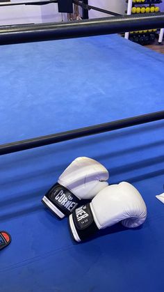 two boxing gloves on the ground next to a book