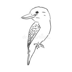 a black and white drawing of a bird sitting on a tree branch royalty illustration stock images