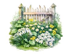 watercolor painting of flowers in front of a wooden fence with green leaves and daisies