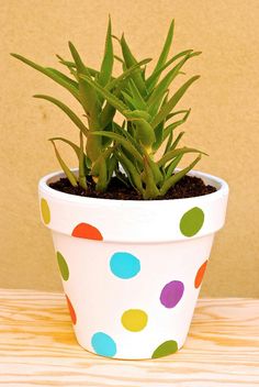 a potted plant sitting on top of a wooden table