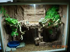 an aquarium with plants and rocks in it