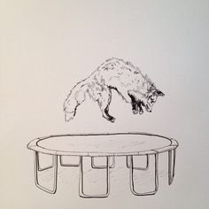 a drawing of a fox jumping from a table into the air to land on it