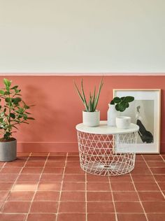 two potted plants sit on a white table in front of a pink wall and tiled floor