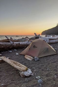 a tent is pitched up on the beach near some logs and driftwood at sunset