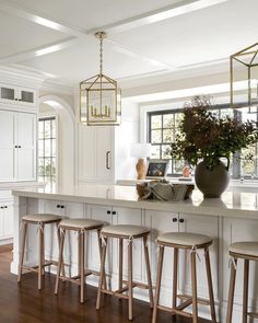 a kitchen island with four stools and a potted plant in the center area