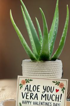 an aloe you veramush plant in a pot with a happy valentine's day sign