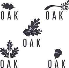 oak leaves and acorns with the word oak in black on a white background