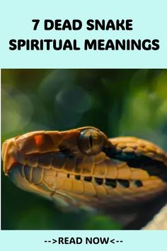 an image of a snake with the caption 7 dead snake spirital meaningss