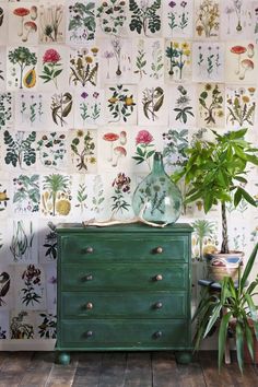 a green dresser sitting in front of a wall with plants on it