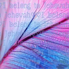 a close up view of a pink and blue feather with words written on it in the background