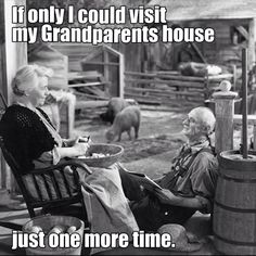 an old man and woman sitting on chairs in front of a barn with cows behind them