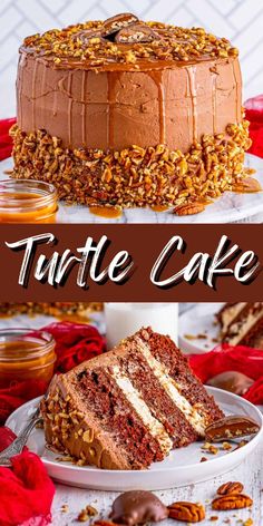 there is a cake with nuts on it and the words turtle cake in front of it