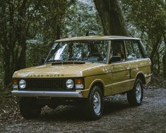 an old yellow station wagon parked in the woods