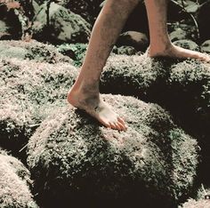 a person standing on top of a rock covered in moss