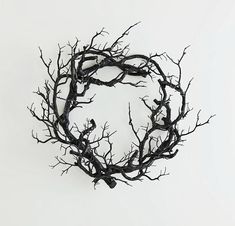 a black and white photo of a tree branch in the shape of a letter o