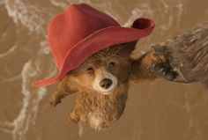 a brown bear with a red hat on it's head is being held by another animal