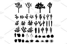 cactus plants silhouettes on white background