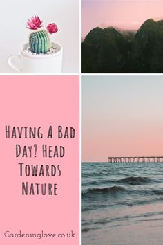 When life gets tough and our mental health takes a turn for the worst, one of the best things you can do it to head towards nature. Wether thats a walk in the woods, down by the stream, visiting the duck pond or heading to the hills. The benefits of nature on your mental health and wellbeing can be immense. #ecotherapy #nature #naturetherapy #headoutdoors #walking #woods #mountains #mentalhealth #wellbeing #selfcare #wanderlust Eco Therapy, Benefits Of Nature, Get Out Of Your Head, When Life Gets Tough, A Walk In The Woods, Duck Pond