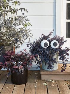 three planters with fake eyes on them sitting on a wooden deck next to a house