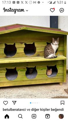 two cats sitting on top of a wooden cat house