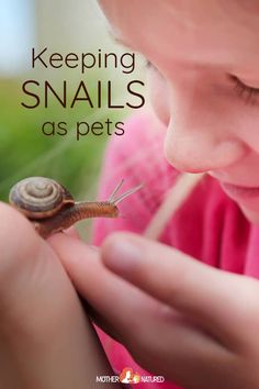 Snails As Pets, Pet Garden, Snail Tank, Miniature Aquarium, Garden Snail, Snail Craft, Low Maintenance Pets