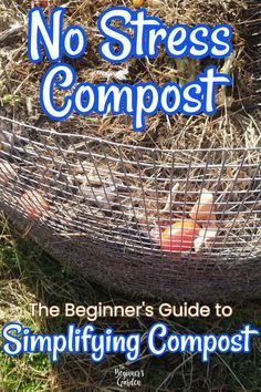 Easy Composting For Beginners, Diy Composter, Compost Ideas, Composting For Beginners, Garden Beginner, Heirloom Gardening, Composting Ideas, Start Composting, Manure Composting