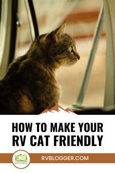 a cat sitting in front of a car looking out the window with text overlay how to make your rv cat friendly