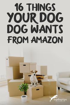 a dog sitting on top of boxes with the words 16 things your dog wants from amazon