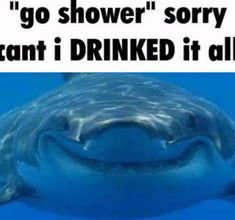 a shark with its mouth open and the caption says, go shower sorry i can't drink it all