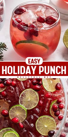 Quench your holiday thirst with Easy Holiday Punch! This easy drink recipe blends fresh fruit juices, ginger ale, and sparkling wine for a refreshing and festive treat. Mix it up and make it your easy holiday drink for a season full of cheer! Easy Holiday Punch, Easy Christmas Punch, Homemade Punch, Thanksgiving Recipes Drinks, Fruit Punch Recipe, Fruits Juice, Holiday Punch Recipe, Ale Recipe, Christmas Drinks Recipes