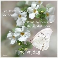 a white butterfly sitting on top of a flower next to a quote that reads, fine vijdag