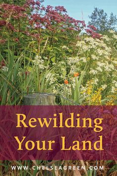 the words rewiling your land in front of colorful flowers and plants with text overlay