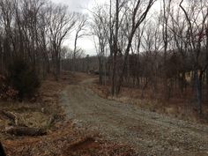 a dirt road in the middle of a wooded area with dead trees on both sides