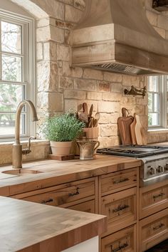 a kitchen with an oven, sink and counter top next to two potted plants