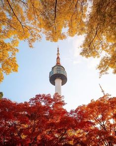 the tower is surrounded by trees with orange leaves on it's sides and blue sky in the background