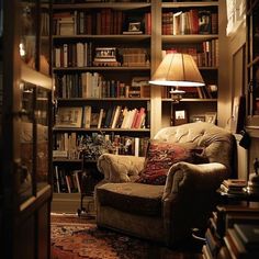 a living room filled with lots of furniture and bookshelves full of books on top of them