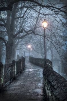 a street light sitting on the side of a bridge