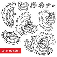 an abstract set of frames with swirls in black and white