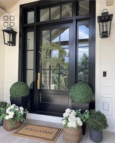 two potted plants are sitting on the front door sill next to a welcome mat