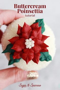 a hand holding a white and red poinsettia