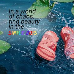 In a world of chaos, find beauty in the simple joys – like slipping into a pair of NuuSol sandals. Embrace comfort, style, and quality with each step, and discover the serenity that comes from stepping away from the hustle and bustle. #NuuSol #madeinusa #madeinamerica #footwear #footweardesign #footwears #footwears #footwearfashion #footweardesigner #featuredfootwear #sandals #slides #slidesandals #comfort #comfortzone #comfortable World Of Chaos, Comfortable Flip Flops, Simple Joys, Pain Free, Find Beauty, Comfort Style, Made In America, In A World, Arch Support