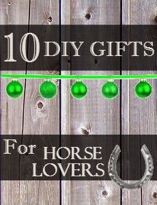 the words 10 diy gifts for horse lover's are in front of a wooden fence