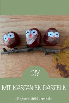 three little birds sitting on top of a branch with leaves in front of them and the words diy mit kastenn basteln