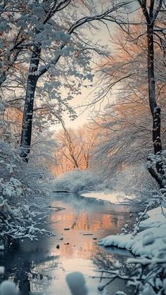 a river surrounded by trees covered in snow