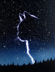 the silhouette of a cat is shown against a night sky filled with stars and trees