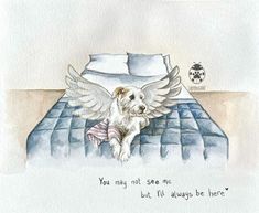 a watercolor painting of a dog laying on a bed with its wings spread out