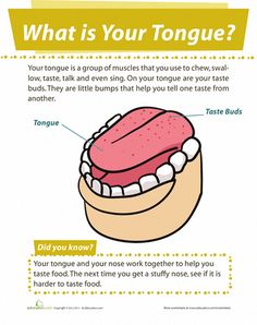 an info sheet describing how to use toothpaste for your teeth and what you should do